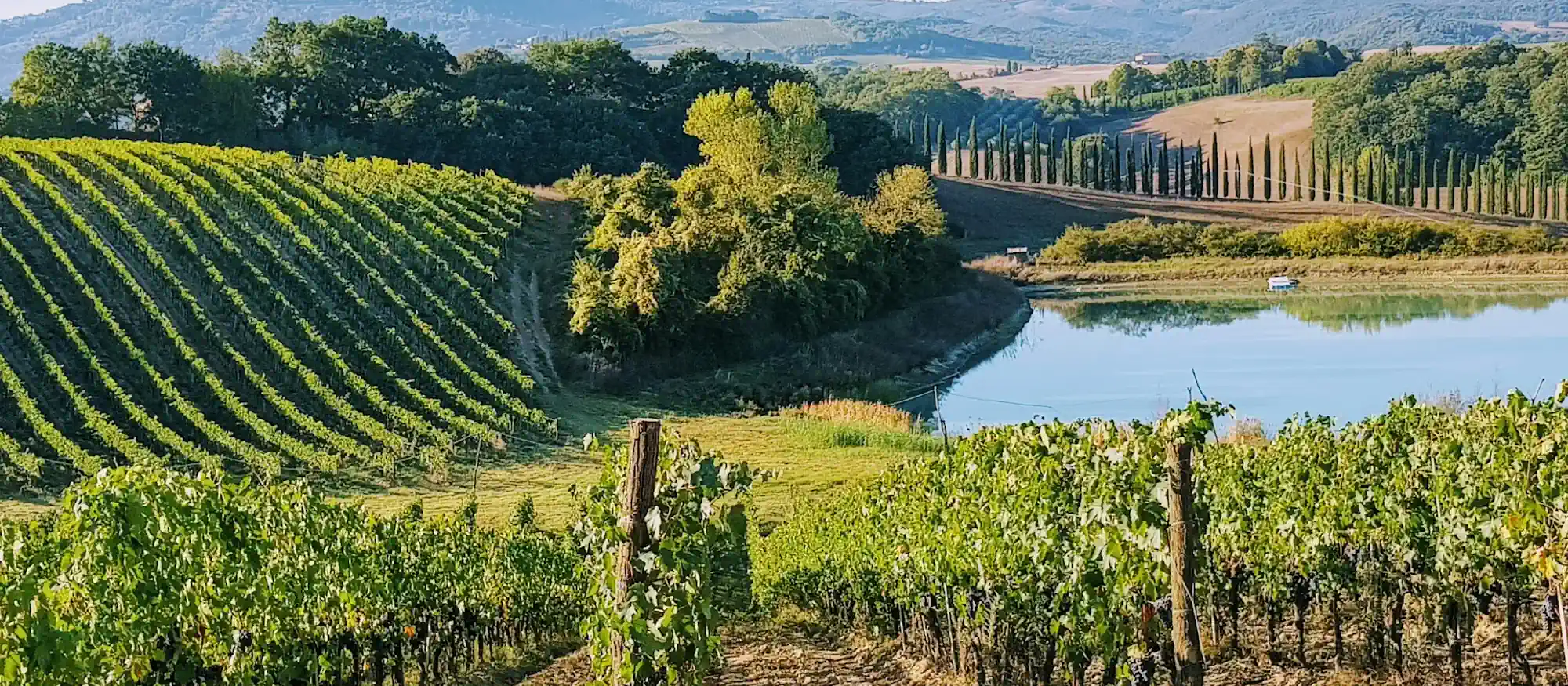 Montepulciano